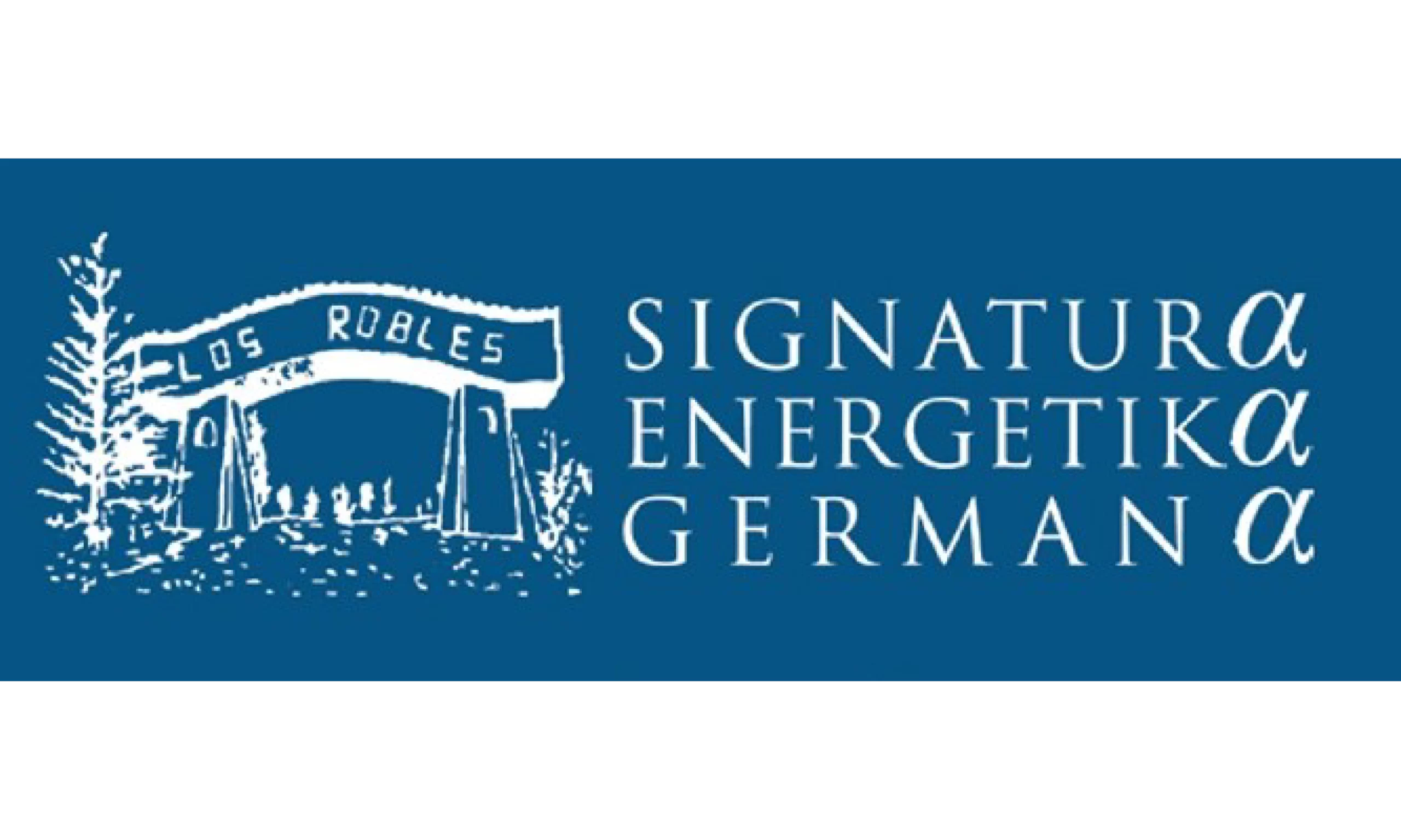 SIGNATURA ENERGETIKA GERMANA_Mesa de trabajo 1